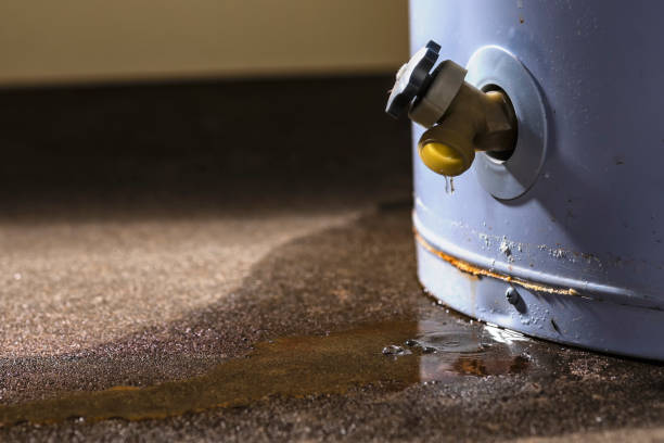 Best Local water damage restoration  in Dupont, WA