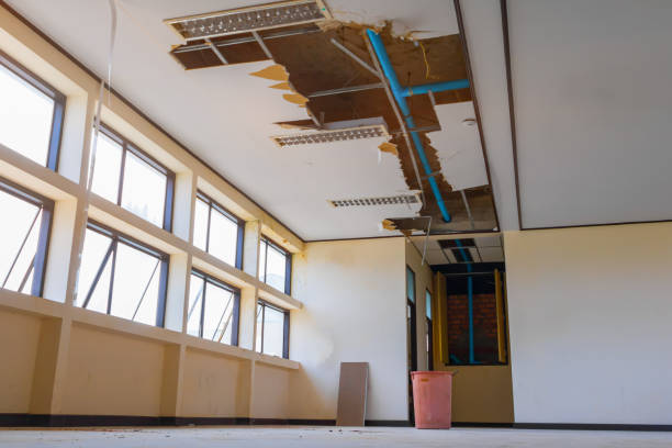 Best Flooded house restoration  in Dupont, WA