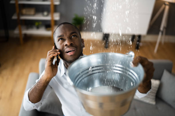 Best Local water damage restoration  in Dupont, WA