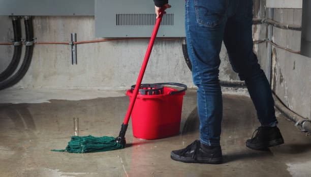 Best Emergency water damage restoration  in Dupont, WA