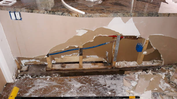 Best Flood damage cleanup  in Dupont, WA