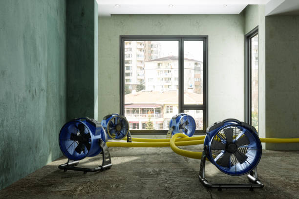 Best Water damage cleanup near me  in Dupont, WA